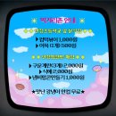 11월 마토예술제 네이버블로그