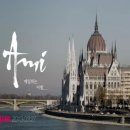 아미(AMI)