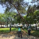 온천2동-29 이미지