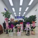 금산행정사 사무소 이미지