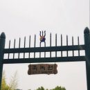 죽녹원로 이미지