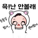 캔버스호스텔