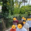 그린나래미술도서관 네이버블로그