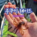 원산도권(대천앞바다) 주꾸미 / 갑오징어 선상낚시 후기! (태안 안면도 백사장항 해신낚시선단 뉴해덕호...