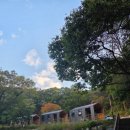 국립회문산자연휴양림 | 자연 속 힐링, 순창 회문산자연휴양림 캐빈 숙박 실제 이용후기