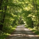 종암동 주민센터 | 서울 종암동 개운산 숲속힐링센터 체험 도심 속 초록빛 쉼표 여행