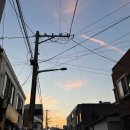 하정 인 이미지