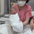 호수제과점 | 송파고은빛 정다와쌤 제왕절개 후기, 입원 날짜별 타임라인, 추천 1인실 호수(긴글주의, 꿀팁 포함)