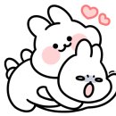 하드마켓조촌점