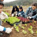 이종덕농장 이미지