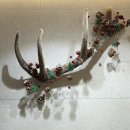 가은치유한의원 이미지