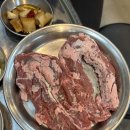돗배갈매기 이미지