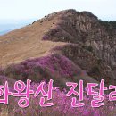 배바우마트 Daum카페