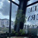 브런치2017 | 중문브런치, 베메로에서 든든하게 아침 한 끼 해결한 후기