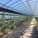 윤지농장 이미지