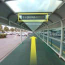 스타렌트카 이미지