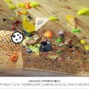 타이거볼더클라이밍짐 이미지