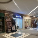 광교 중흥 | 코끼리 밀관 수원 영통 광교 후기/광교 중흥 베이커리 (두바이 쫀득 쿠키 있음)