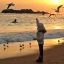 떠오르는 태양 이미지