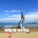 (주)다인테크 | 서해 해수욕장에서 갯벌체험까지 하고 싶다면 당진 왜목마을 후기