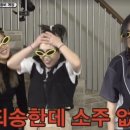 낯꽃