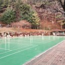 정관체육시설 테니스장 이미지