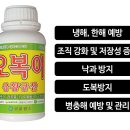 모두싹친환경농자재 이미지