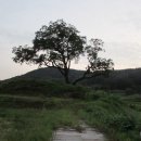 무촌마을 Daum카페