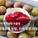 진이오얏농원