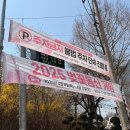 2025년 인천 벚꽃 명소 &#39;SK석유화학&#39; 벚꽃 실시간 현황 및 주차 (25.04.08. 13시 기준)