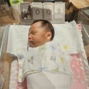 11650-14-49-6 | [대구/서구]닥터안산후조리원13박14일vip실 후기(+마사지,IPL등)