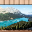 상업용 55 이미지