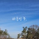 생생삼겹살묵은지찜