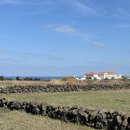 바이러닉 에스프레소 바 제주점 <b>제주</b> 오션뷰 이호테우해변 카페 <b>바이러닉</b> <b>에스프레소</b> <b>바</b> <b>제주점</b>