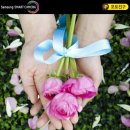 로즈 떡볶이 이미지