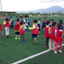 쌍호태권도장 이미지