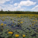 낙동강체육공원 야구장화장실 이미지