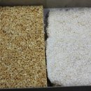 인성주유소 이미지