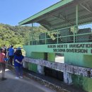 디에스티 이미지