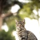 계양SKY동물메디컬센터 이미지