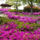 바람의 집 이미지