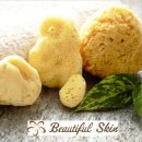 주식회사 위드와이드 | 천연해면스펀지 보들보들해서 아기목욕시키기 넘나 좋아요