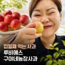 일반농장 | 추석선물 고민될 때 특별한 루비에스 미니사과 구야네농장 후기