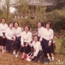 여고시절 이미지
