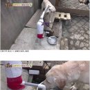 호야 농장 이미지