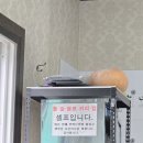 둘리명품새우