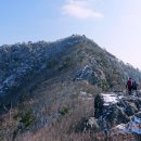 (주)자은 이미지