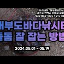 대부도바다낚시터 2024년 6월 16일 일요일 자바리 능성어 돌돔 홍돔 참돔 돗돔 점성어등 조황 이미지