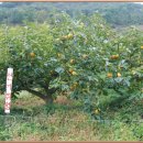 예찬농장 이미지