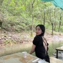 금화백숙 이미지